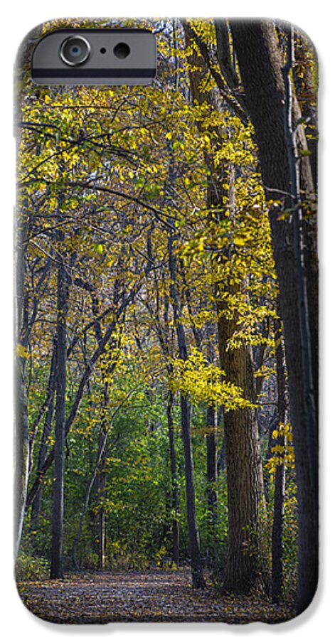 Fall iPhone 6 Case featuring the photograph Autumn Trees Alley by Sebastian Musial