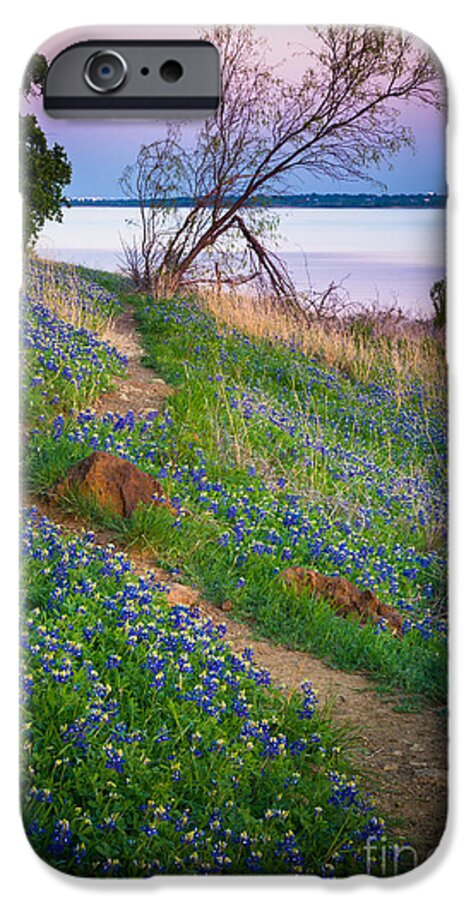 America iPhone 6 Case featuring the photograph Bluebonnet Path by Inge Johnsson