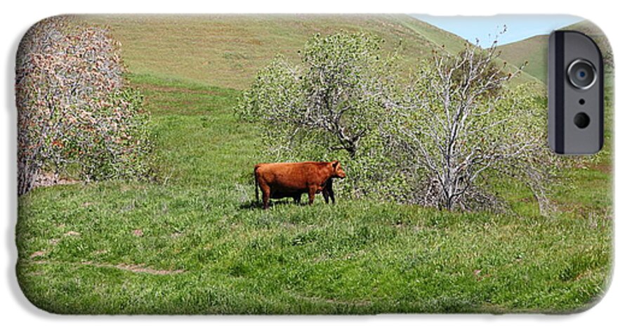 Bayarea iPhone 6 Case featuring the photograph Cows Along The Rolling Hills Landscape of The Black Diamond Mines in Antioch California 5D22303 by Wingsdomain Art and Photography