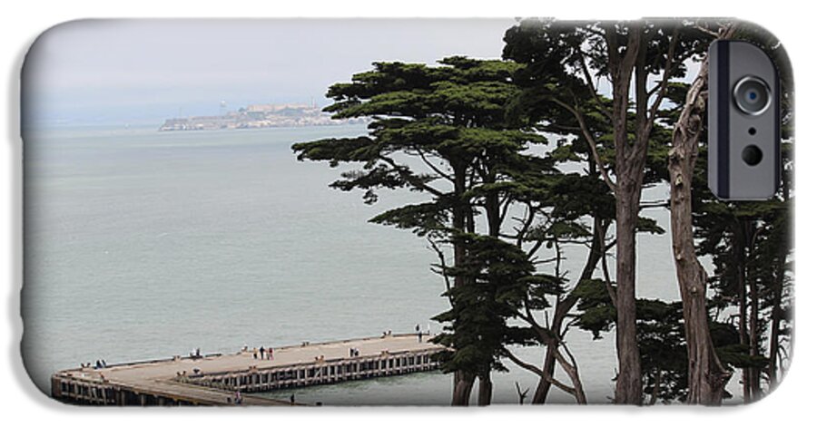 San Francisco iPhone 6 Case featuring the photograph Cypress by Becca Buecher