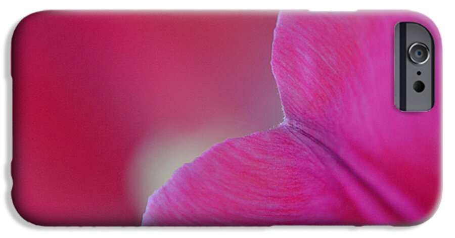 Flower iPhone 6 Case featuring the photograph Delicate Moments by Melanie Moraga