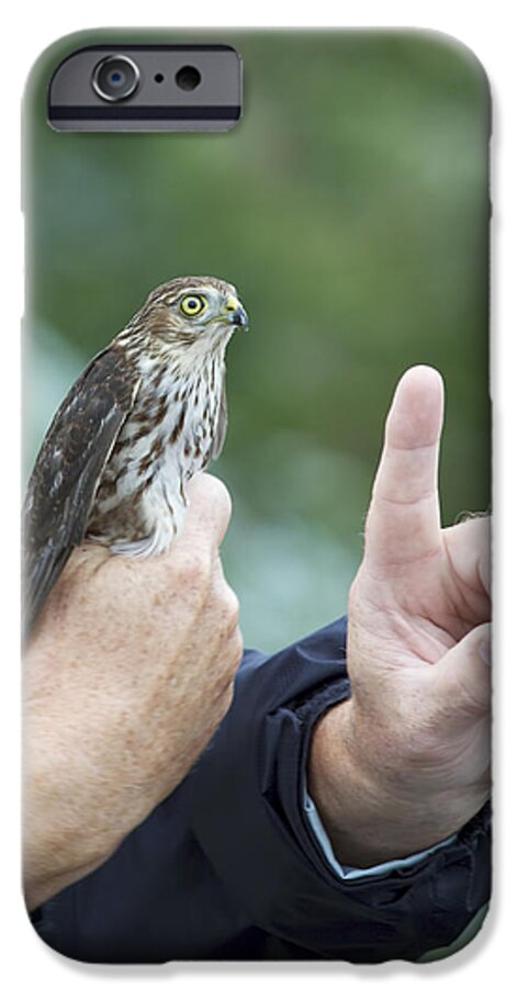 Accipiter Striatus iPhone 6 Case featuring the photograph Getting the Finger by Phill Doherty