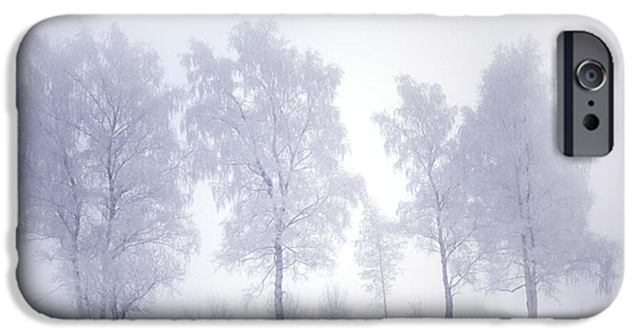 Trees iPhone 6 Case featuring the photograph Ghostly Trees in Winter Mist by Jenny Rainbow