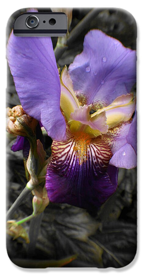 Fleur iPhone 6 Case featuring the photograph Hint Of Color by Doc Braham