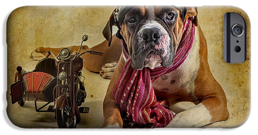 Animal iPhone 6 Case featuring the photograph I want to Ride by Domenico Castaldo