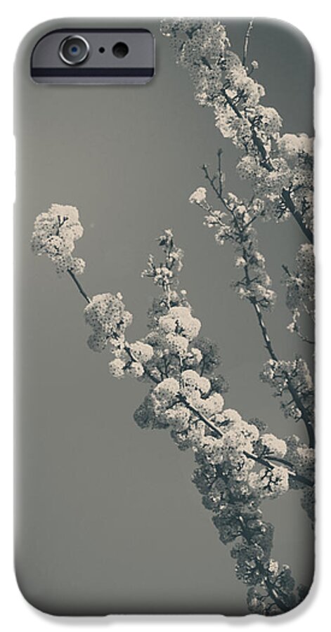 Blooming iPhone 6 Case featuring the photograph In a Beautiful World by Laurie Search