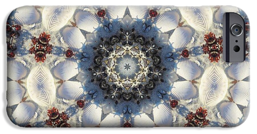 Kaleidoscope iPhone 6 Case featuring the photograph Kaleidoscope Seashells by Cathy Lindsey