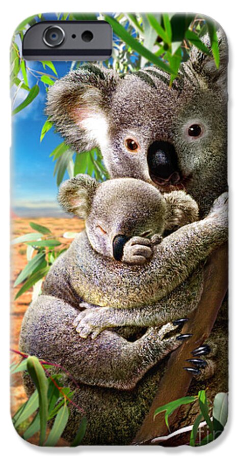 Adrian Chesterman iPhone 6 Case featuring the digital art Koala and Cub by MGL Meiklejohn Graphics Licensing