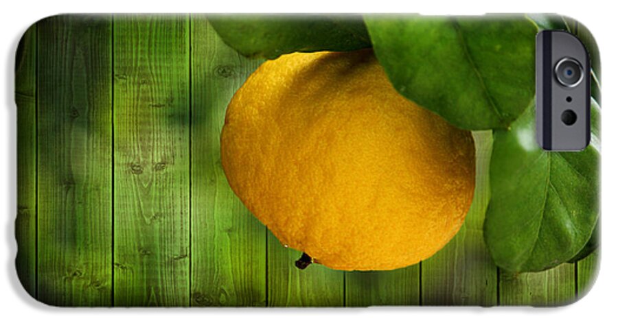 Tree iPhone 6 Case featuring the mixed media Lemon by Heike Hultsch