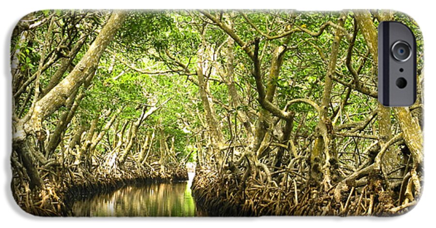 Photograph iPhone 6 Case featuring the photograph Mangrove Passage by Paula Joy Welter