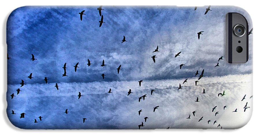 Bird iPhone 6 Case featuring the photograph Meet Me Halfway Across The Sky 1 by Angelina Tamez