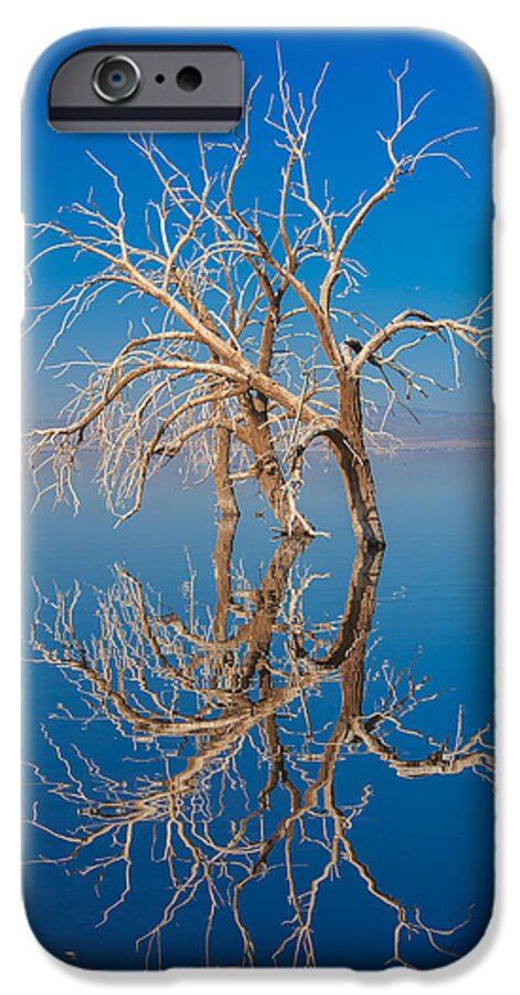 Salton Sea iPhone 6 Case featuring the photograph Mirror Mirror by Scott Campbell