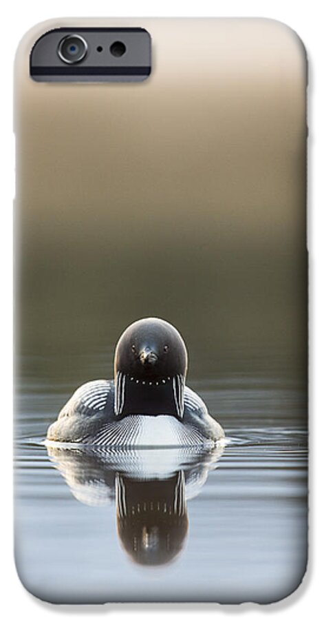 Adult iPhone 6 Case featuring the photograph Morning Mist and a Reflection by Tim Grams