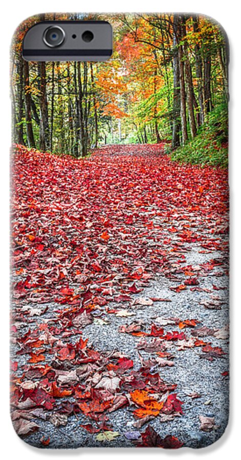 Fall iPhone 6 Case featuring the photograph Nature's Red Carpet by Edward Fielding
