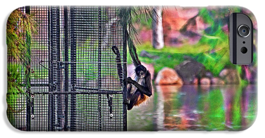 Black Handed Spider Monkey iPhone 6 Case featuring the photograph No prison for me by Miroslava Jurcik