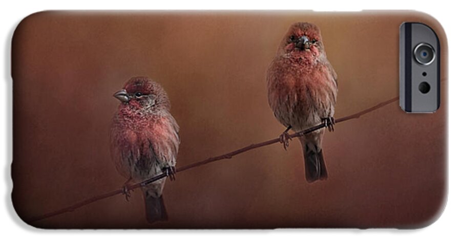 Jai Johnson iPhone 6 Case featuring the photograph Pair of Finches by Jai Johnson