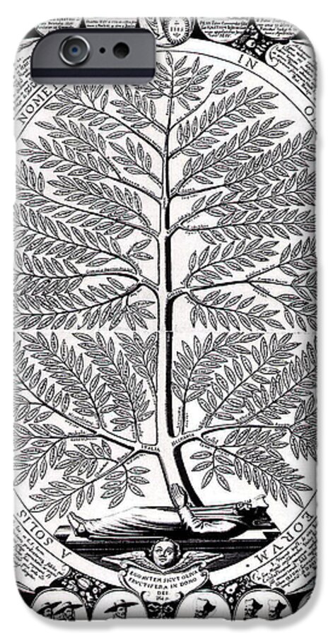 Jesuit iPhone 6 Case featuring the drawing Peruvian Bark or Jesuit Tree by Unknown