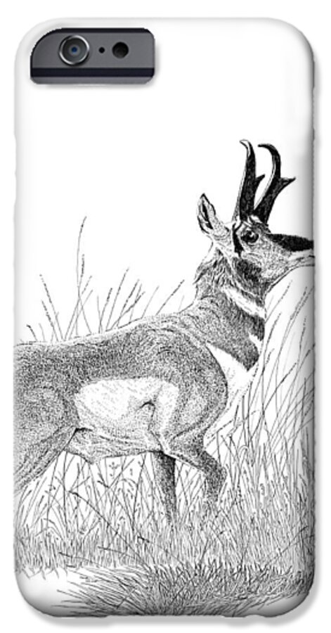 Pronghorn Print iPhone 6 Case featuring the drawing Pronghorn by Carl Genovese