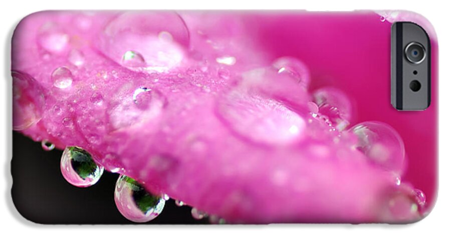 Photography iPhone 6 Case featuring the photograph Raindrops on Roses by Kaye Menner