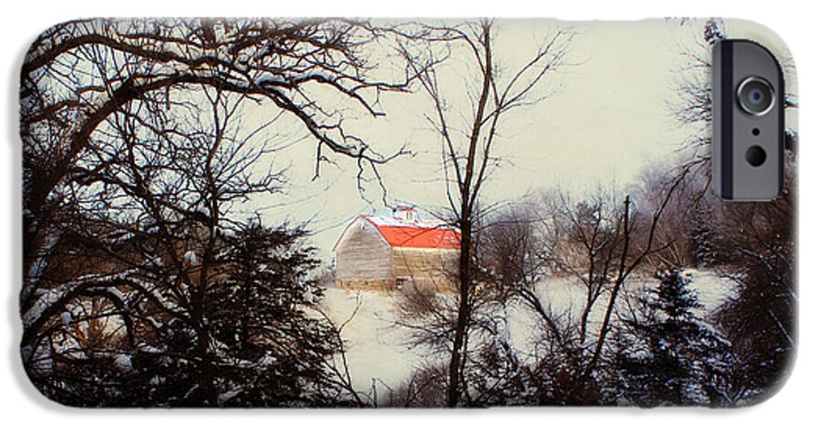 Barn iPhone 6 Case featuring the photograph Red Roof Barn by Julie Hamilton