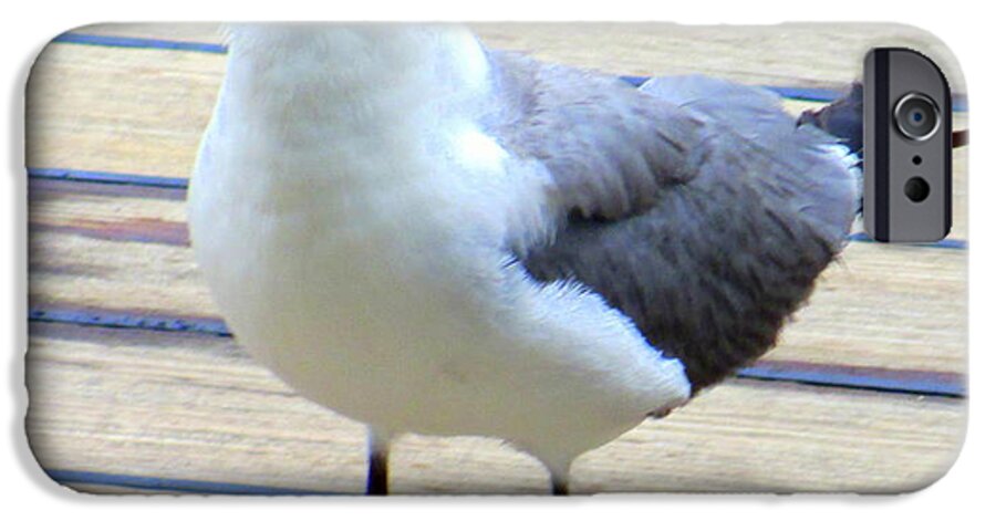 Seagull iPhone 6 Case featuring the photograph Seagull On Deck by Randall Weidner