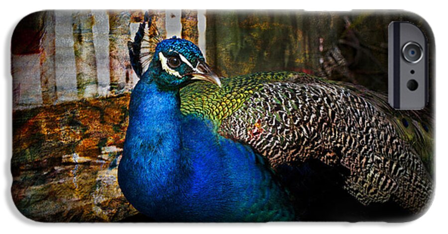Animals iPhone 6 Case featuring the photograph The Beauty by Debra and Dave Vanderlaan