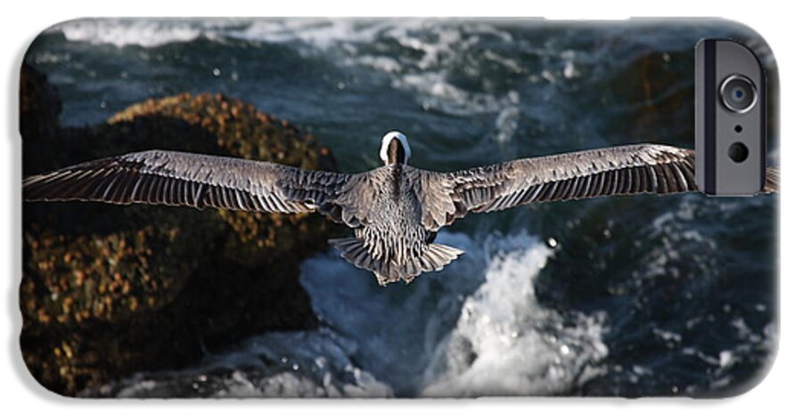 Pelican iPhone 6 Case featuring the photograph Through the eyes of a pelican by Nathan Rupert