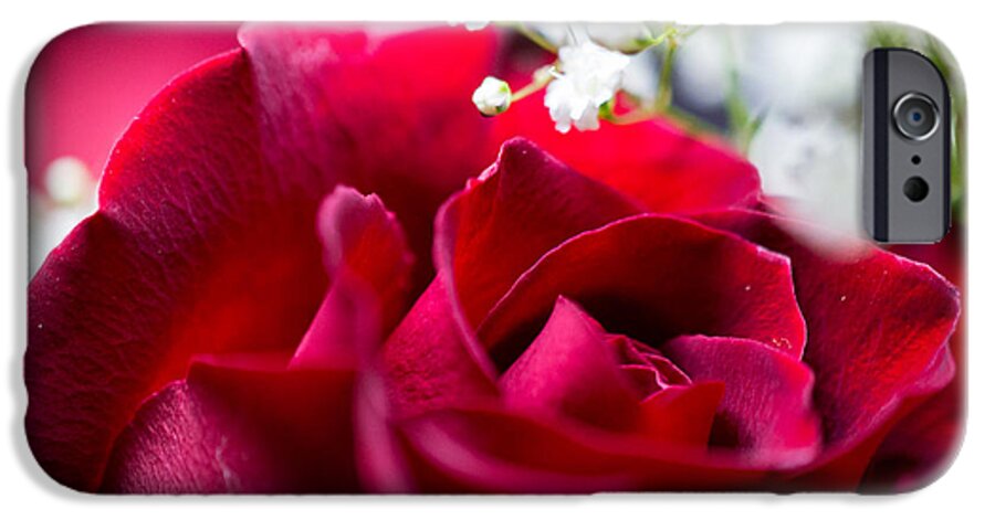 Rose iPhone 6 Case featuring the photograph Valentine by Alex Lapidus