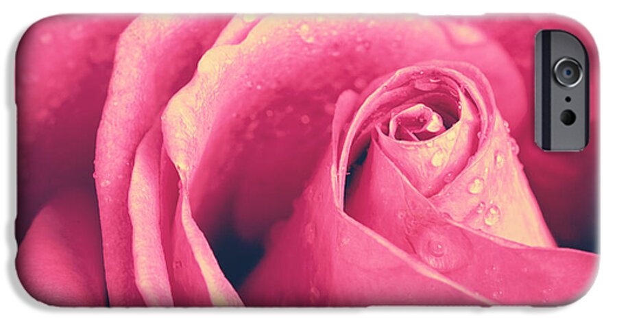 Instagram iPhone 6 Case featuring the photograph Vintage rose photo by Jane Rix