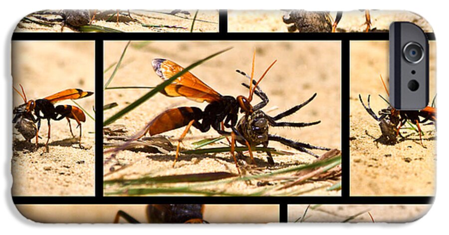 Wasp iPhone 6 Case featuring the photograph Wasp and his kill by Miroslava Jurcik