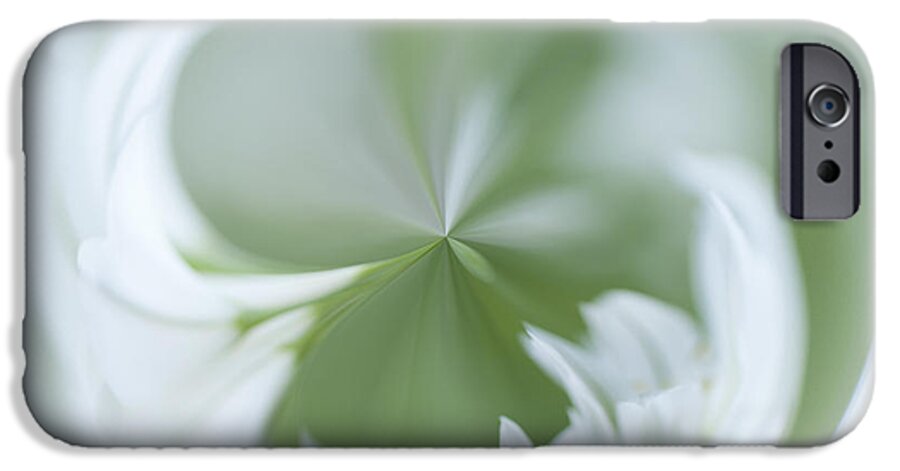 Alliaceae iPhone 6 Case featuring the photograph White Green and Round by Anne Gilbert