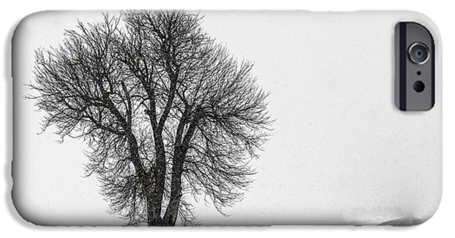 Snow iPhone 6 Case featuring the photograph Whiteout by Chris Austin