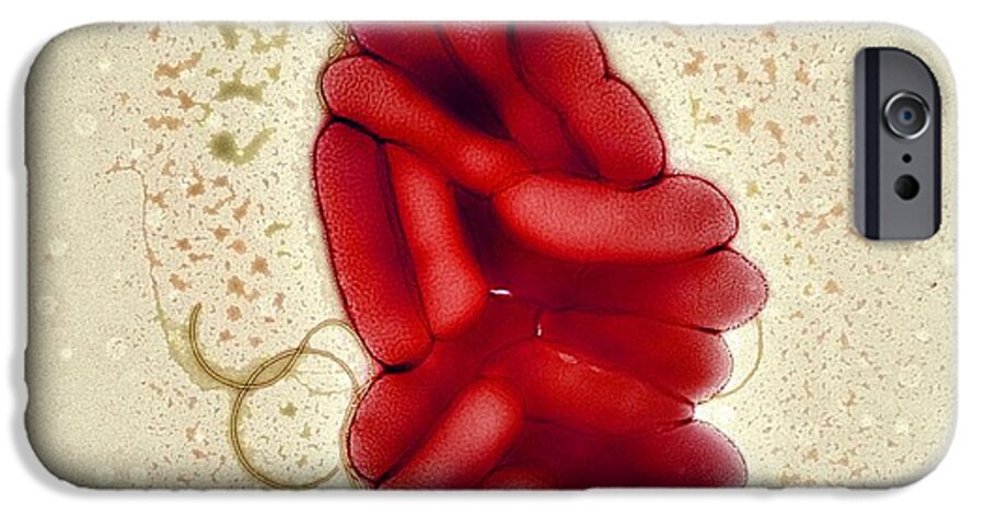 Stenotrophomonas Maltophilia iPhone 6 Case featuring the photograph S. Maltophilia Bacteria, Tem #2 by Centre For Infectionshealth Protection Agency
