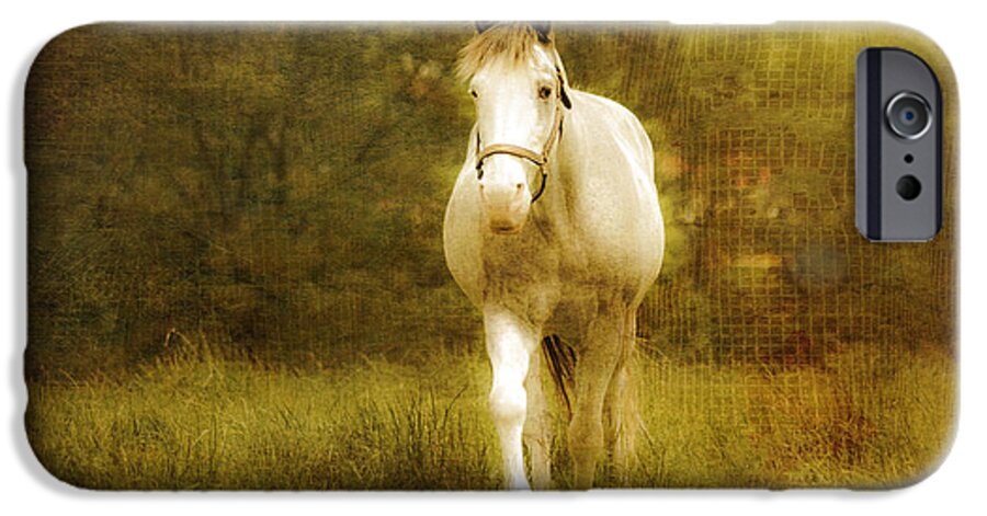 Horse iPhone 6 Case featuring the photograph Andre On The Farm by Trish Tritz