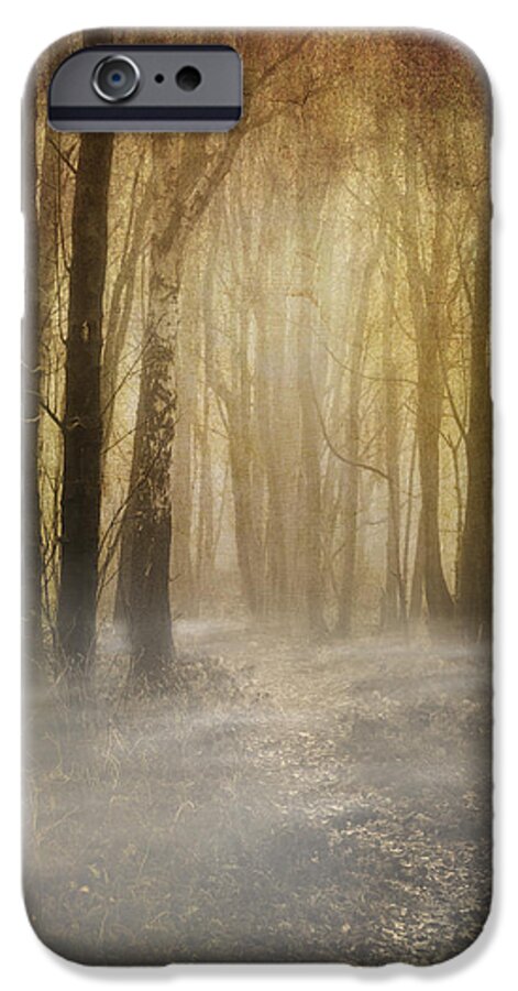 Woodland iPhone 6 Case featuring the photograph Beware Misty Woodland Path by Meirion Matthias
