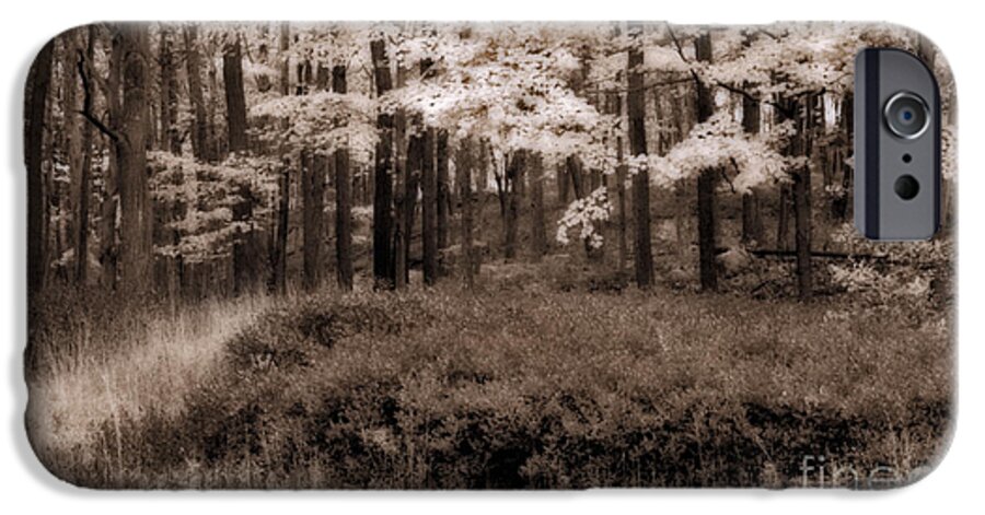 Forest iPhone 6 Case featuring the photograph Dreamy Woods by Susan Candelario