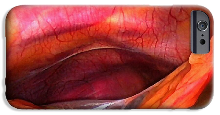 Liver iPhone 6 Case featuring the photograph Healthy Liver, Laparoscopic View by Miriam Maslo