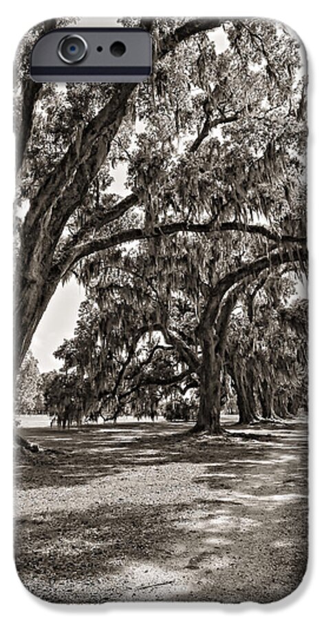 Evergreen Plantation iPhone 6 Case featuring the photograph Memory Lane monochrome by Steve Harrington