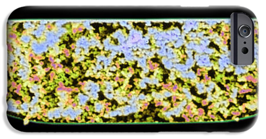 Microfluidic Device iPhone 6 Case featuring the photograph Protein Research Device, Sem by Volker Steger