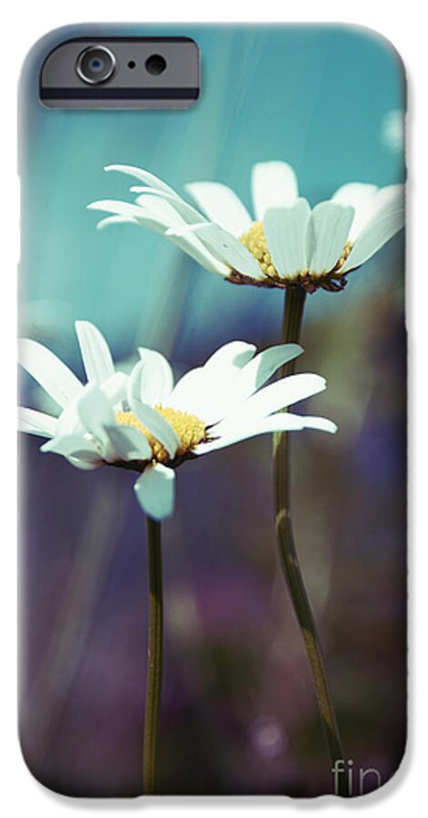 Daisies iPhone 6 Case featuring the photograph Xposed - s02 by Variance Collections