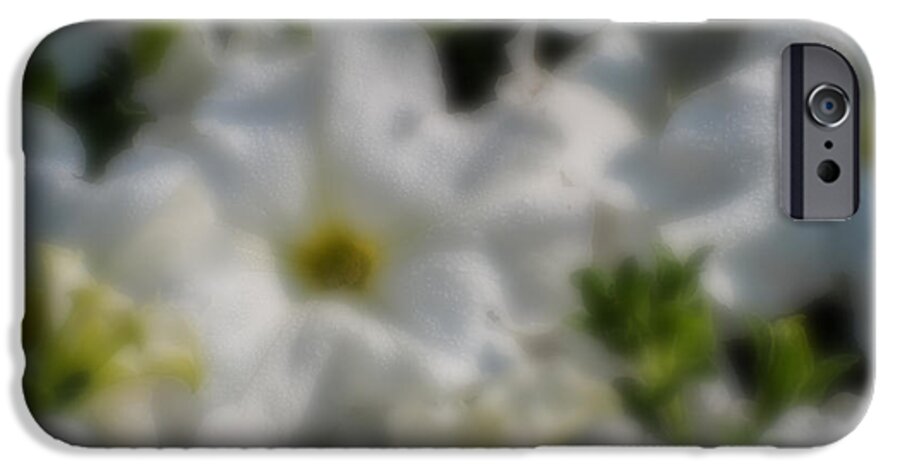 White iPhone 6 Case featuring the photograph Blurred seasonal flower with dark background #12 by Rudra Narayan Mitra
