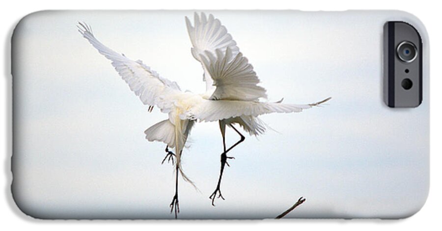 Roy Williams iPhone 6 Case featuring the photograph Great Egrets Mating Dispute Series #22 by Roy Williams