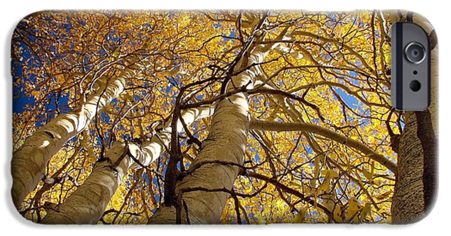 Aspen Tree Fall Colors iPhone 6 Case featuring the photograph Aspen's Reaching by Scott McGuire
