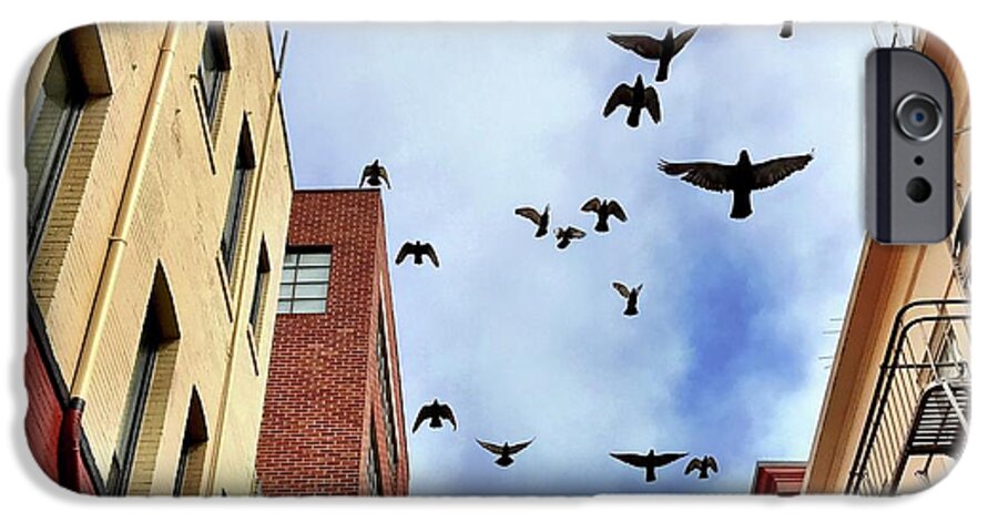  iPhone 6 Case featuring the photograph Birds Overhead by Julie Gebhardt