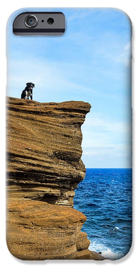 Dog iPhone 6 Case featuring the photograph Cliffside Cali by Kristin Yata