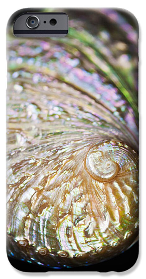 Abalone iPhone 6 Case featuring the photograph Close-up of Abalone Shell by Bill Brennan - Printscapes