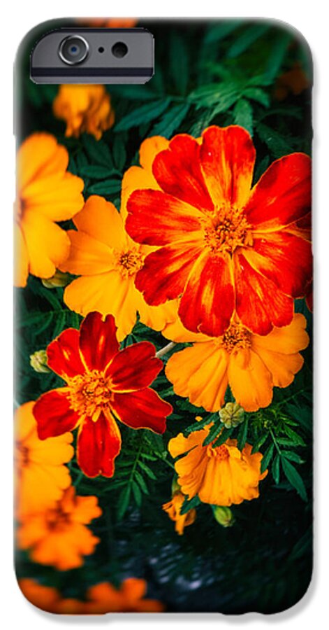 Beautiful iPhone 6 Case featuring the photograph Colorful flowers by Silvia Ganora