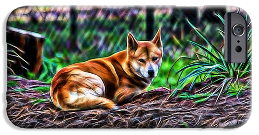 #dingo iPhone 6 Case featuring the photograph Dingo from Ozz by Miroslava Jurcik