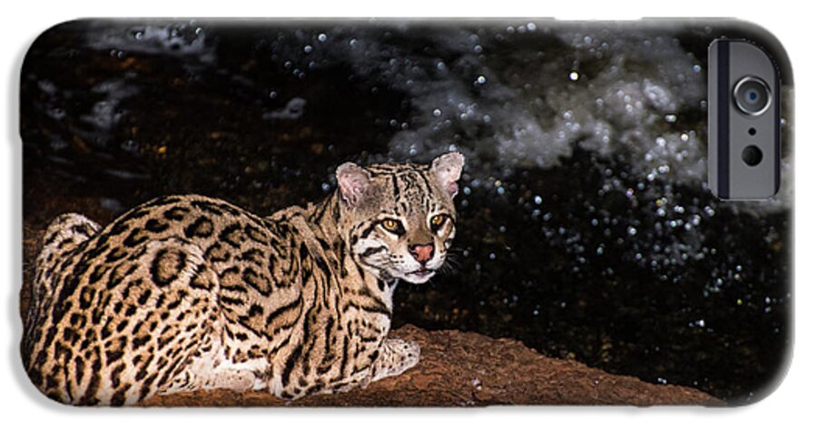 Ocelot iPhone 6 Case featuring the photograph Fishing in the Stream by Alex Lapidus