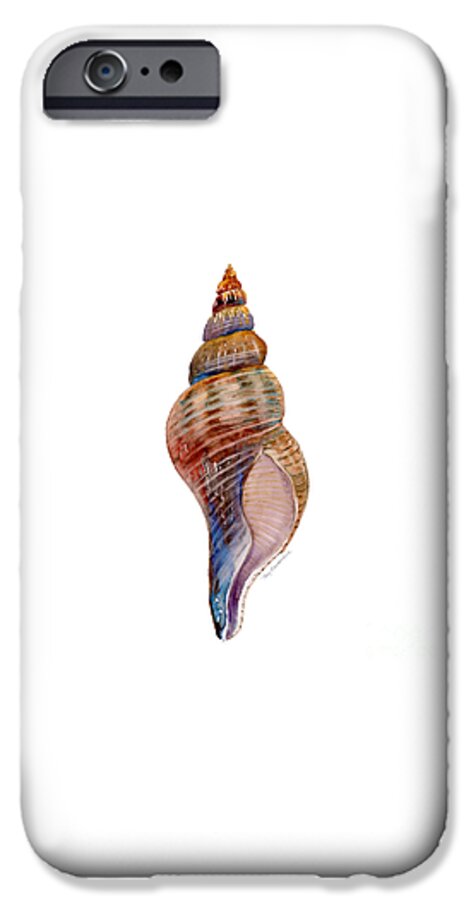 Conch Shell Painting iPhone 6 Case featuring the painting Fox Shell by Amy Kirkpatrick
